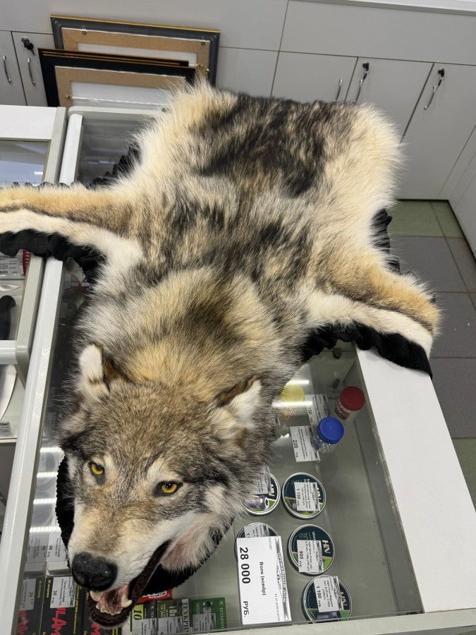 Волк (ковёр)