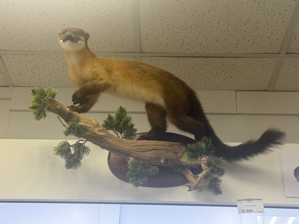 Чучело "Харза"